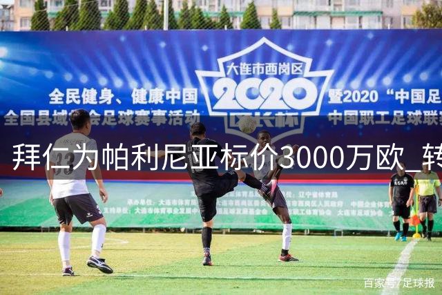 拜仁为帕利尼亚标价3000万欧 转会租借方案同步推进